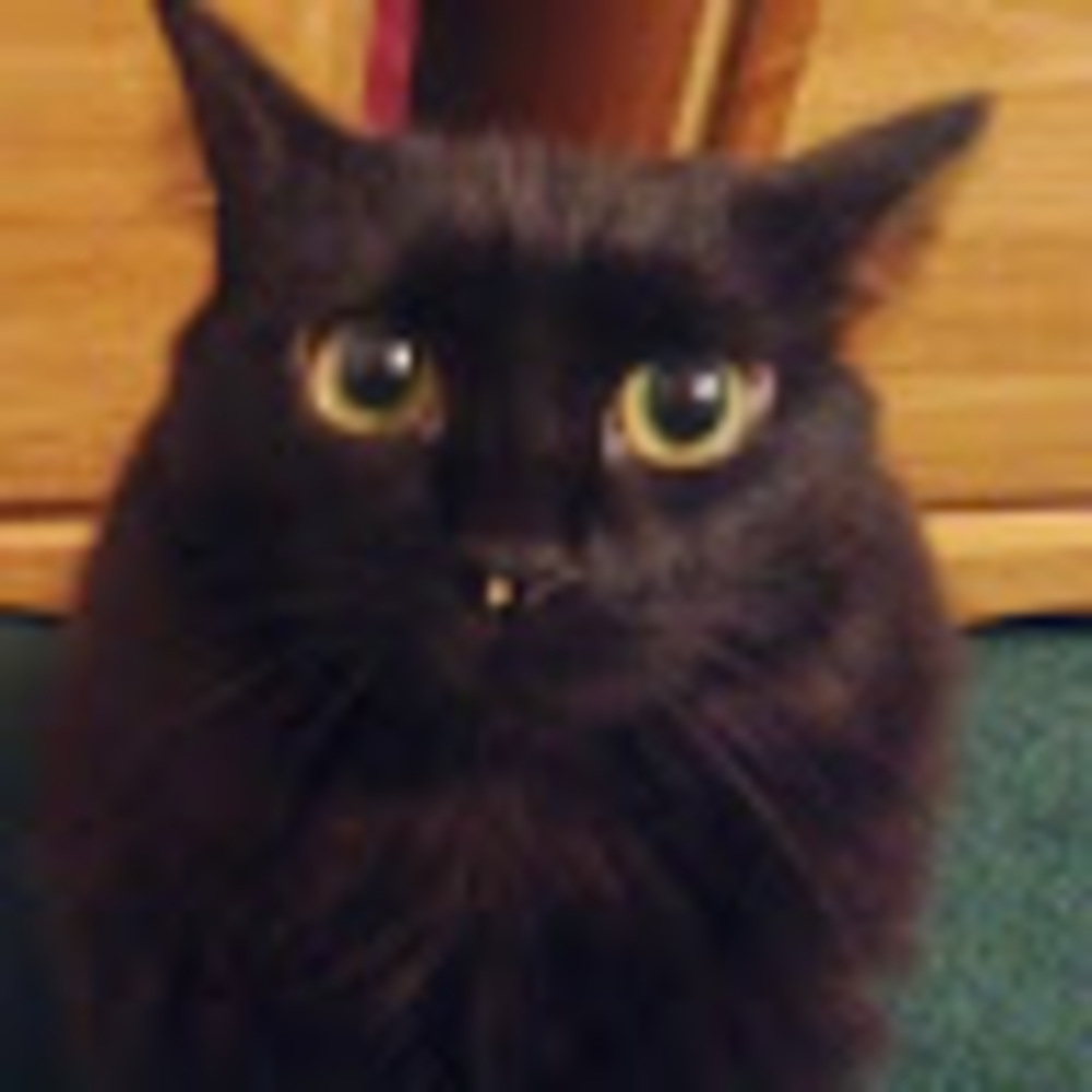 Meet your Posher, Sunaina